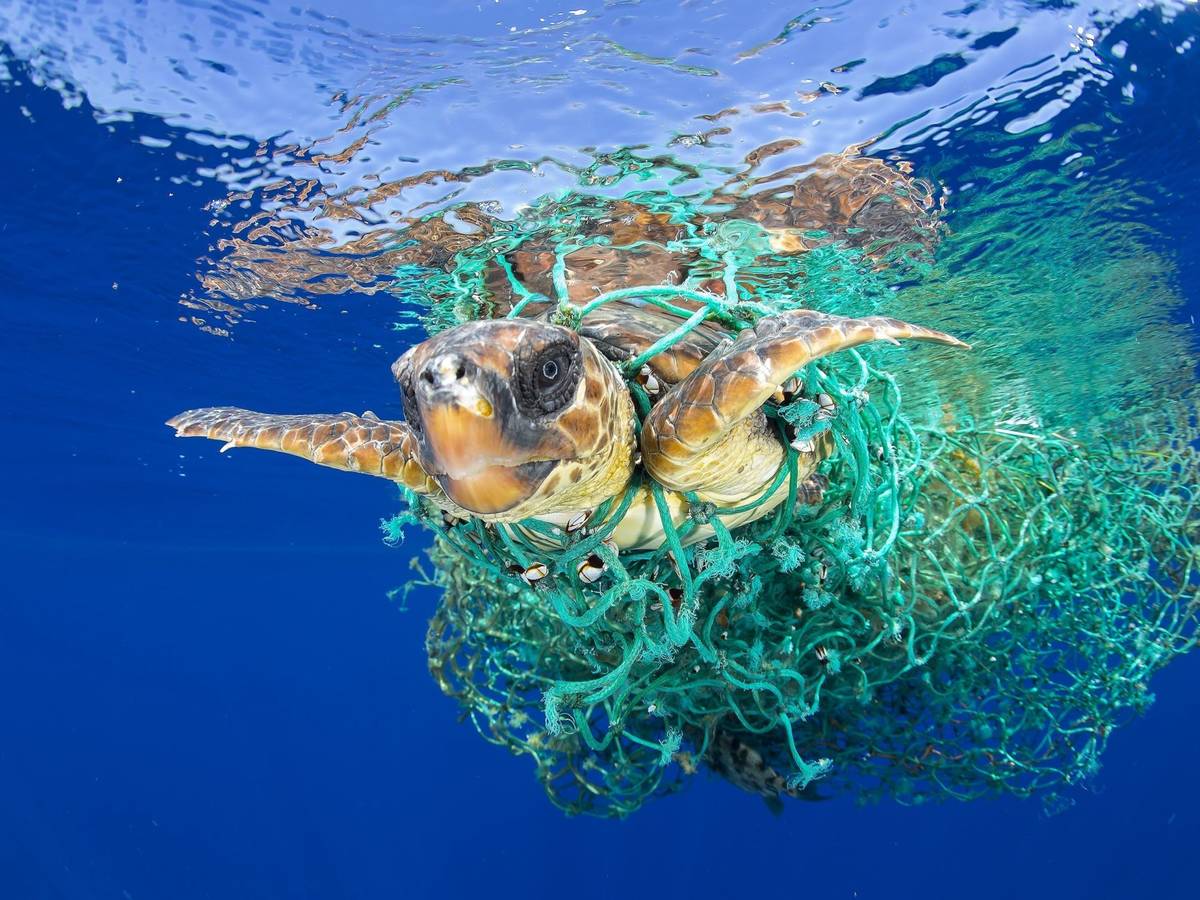 Ropa sostenible para salvar los océanos